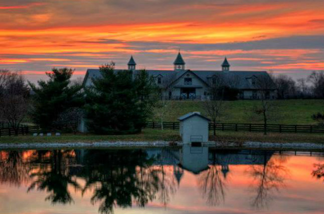 lex farm ps